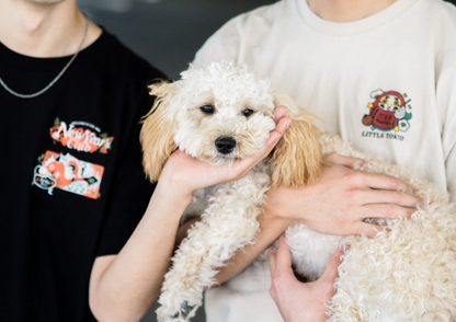 Yo! x Studio Sando Daruma in Little Tokyo Tee